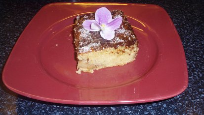 Jablečný koláč (hřbet)