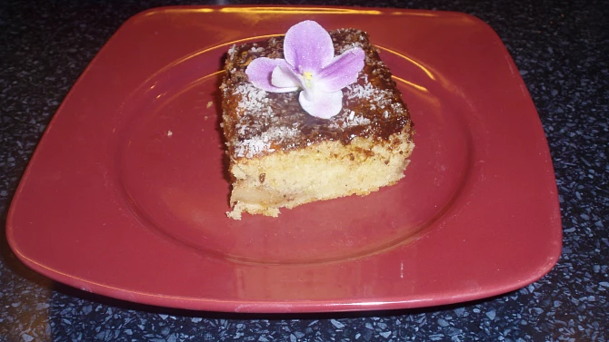 Jablečný koláč (hřbet)