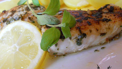 Halibut v bylinkách