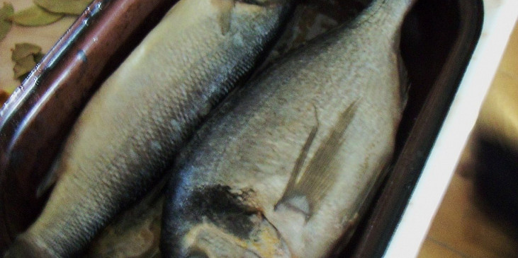 Mořské ryby na vavřínu, fenyklu a bazalce (ryby dáme do pekáčku na olej...)