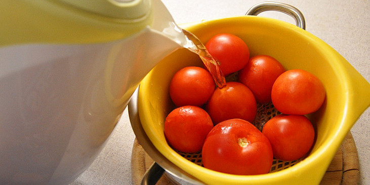 spaření rajčat