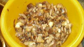 Květákový mozeček  se slaninou a s hlívou ústričnou