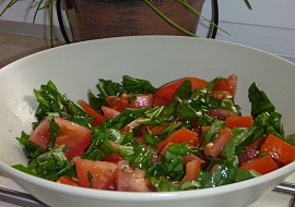 Rajčatový salát s medvědím česnekem
