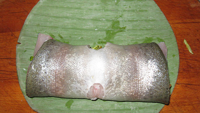 Rolky ze pstruha