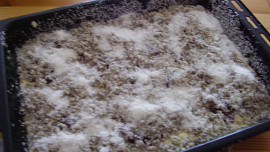 Rychlý koláč s ovocem z jogurtu, tvarohu, máku  a kokosu