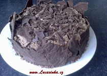 Můj narozeninový čokoládový dort