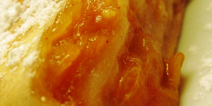 Babiččin meruňkovo - jablečný závin (Babiččin meruňko-jablečný závin)
