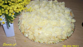 Dort Mimoza