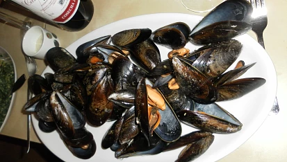 Mušle na víně a jiné speciality alá francouzský večer