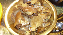 Barevna sekana z masa, hlivy ustricne a  ze zeleniny na polevku