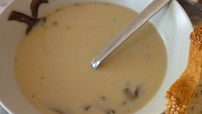 Houbová cibulačka
