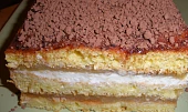 Jablkovo tvarohový řez