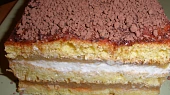 Jablkovo tvarohový řez