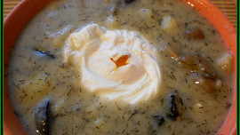 Květáková "kulajda" II.