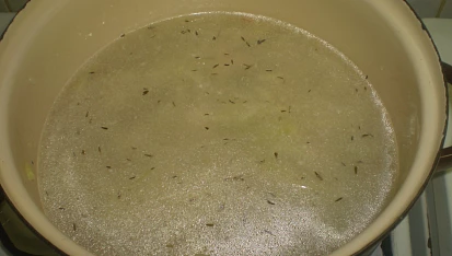 Cibulačka s kuřecím masem