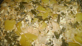 Zapečený pangasius s brambory a cotagge sýrem