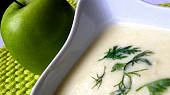 Fenyklová polévka z Avignonu