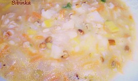 Zeleninovo-ovesná polévka s mungem