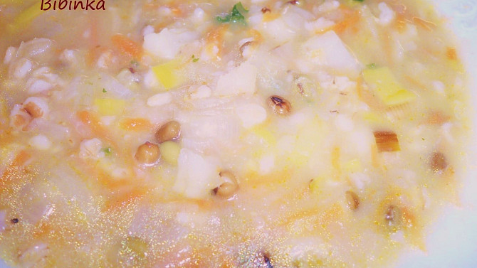 Zeleninovo-ovesná polévka s mungem, detail...