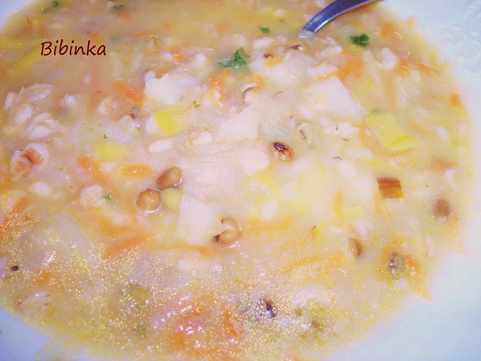 Zeleninovo-ovesná polévka s mungem, detail...