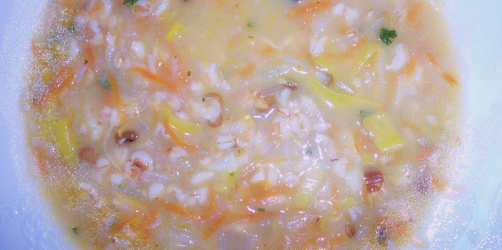 Zeleninovo-ovesná polévka s mungem.