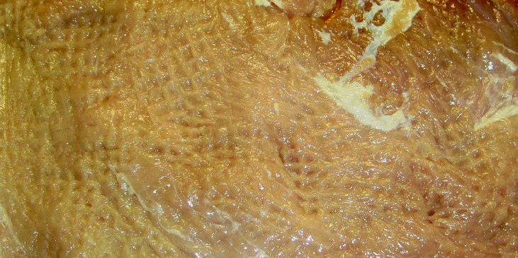 Vepřová pečená roláda na houbách