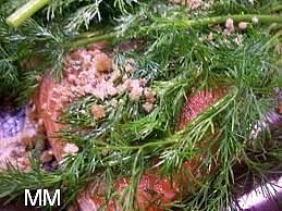Losos gravlax