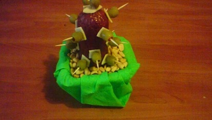 Slaný kaktus
