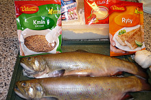 Ingredience