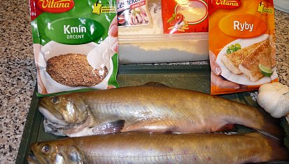 Siven v sýrovém obalu s česnekovým dresinkem, Ingredience