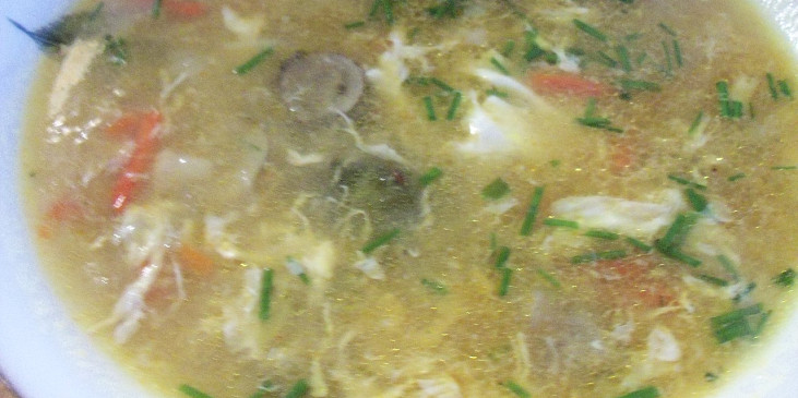 Výživná polévka (detail...)