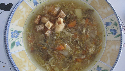 Krkonošská cibulačka