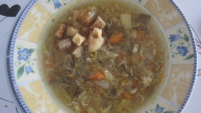Krkonošská cibulačka