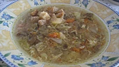 Krkonošská cibulačka