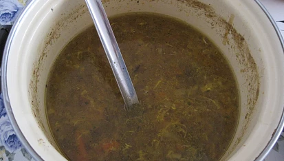 Krkonošská cibulačka