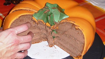 Dort - dýně
