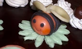 Vosí dort s čokoládovou polevou