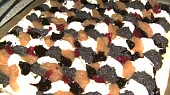 Kecaný koláč (Kleckslkuchen), s nádivkou
