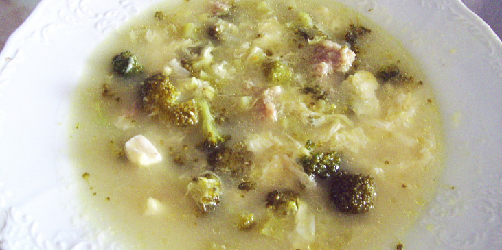 Vícesýrová polévka s brokolicí a mletým masem