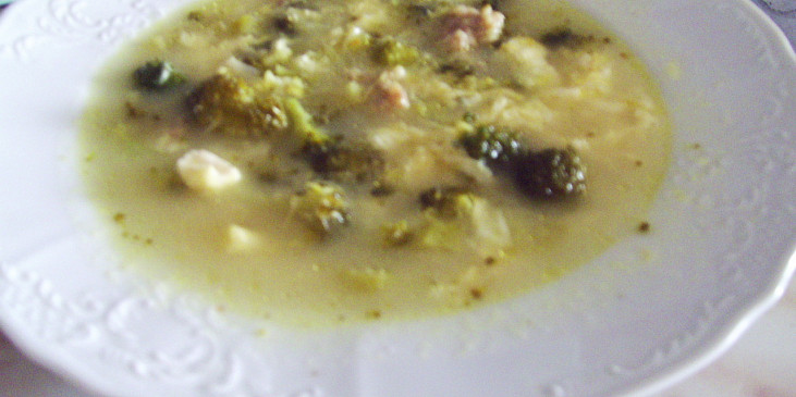Vícesýrová polévka s brokolicí a mletým masem
