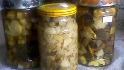 Houby ve slaném nálevu podle Marty, houby ve slaném nálevu