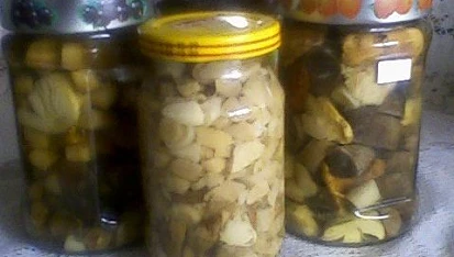 Houby ve slaném nálevu podle Marty, houby ve slaném nálevu