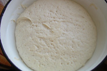 Vykynuté těsto