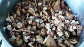 Guláš  z václavek s noky