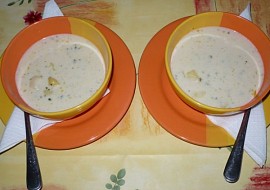 Česnekovo - smetanová (krémová) polévka