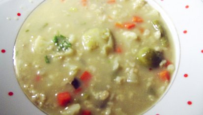 Polévka  čtyřsurovinová (zelenina,droždí,ovesné vločky,houby), Polévka čtyřsurovinová