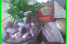 plecko,libeček,anglická,fazole,cibule,česnek(zázvor a pivo se nevešly)