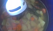 Krémová zeleninová polévka s mladou cibulkou (zeleninu stačí uvařit v menším množství vody,aby při mixování tekutina nešplíchala a pak vodu dolít)