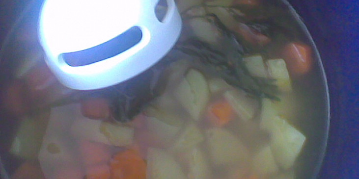 Krémová zeleninová polévka s mladou cibulkou (zeleninu stačí uvařit v menším množství vody,aby…)