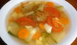 Zeleninový hrnec (dietní polévka)